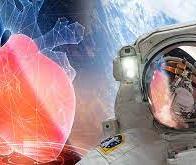 Astrocardia : un cœur miniature envoyé dans l’espace pour comprendre le vieillissement des cellules ...
