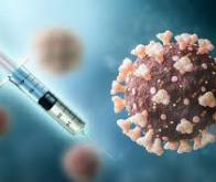 COVID-19 : Un nouveau pas vers un vaccin universel anti-coronavirus