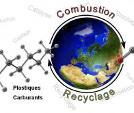 De l’araignée aquatique au catalyseur bioinspiré pour la transformation du CO2 en carburant