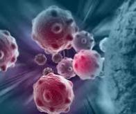 Découverte d'un nouveau mécanisme génétique de destruction des cellules cancéreuses