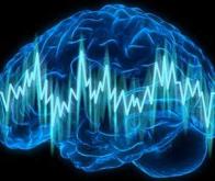 Épilepsie : un algorithme pour prédire les crises