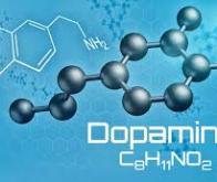 La dopamine permet de sélectionner les événements à mémoriser