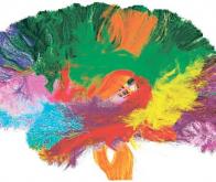La taille de certaines régions du cerveau est corrélée avec l’intensité des relations sociales