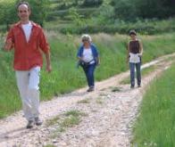 L'activité physique : un médicament à part entière !