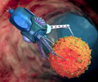 Les nanorobots alimentés par l’urée réduisent les tumeurs de la vessie de 90 % chez la souris