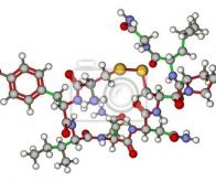 Un chercheur français identifie une molécule qui imite l'ocytocine