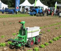 Un robot pour biner les salades