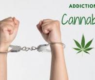 Une molécule contre l’addiction au cannabis