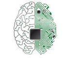 IBM présente un cerveau -numérique- de rongeur avec 48 puces neuromorphiques