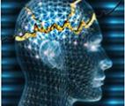 Identification d’un "interrupteur" responsable de la transformation d’un cerveau sain en cerveau épileptique