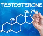 La testostérone, nouvel espoir thérapeutique contre le cancer des glandes surrénales