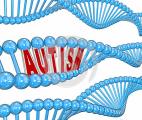 Une signature génétique unique pour un meilleur diagnostic de l'autisme